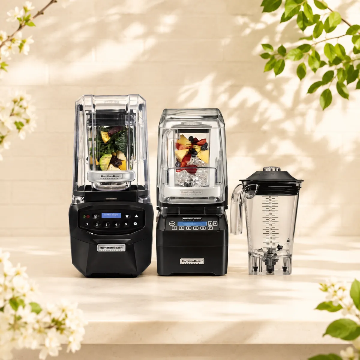Hamilton Beach Blender Free Jug Promotion